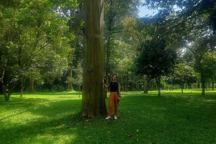 Kandy Full-Day Tour from Colombo and Negombo: Temple, Tea & Botanical Gardens photo 3