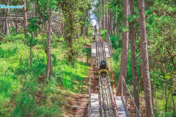 Datanla Alpine Coaster: Ride Vietnam's Longest Mountain Coaster in Da Lat photo 2