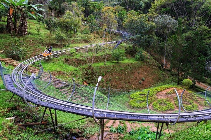 Datanla Alpine Coaster: Ride Vietnam's Longest Mountain Coaster in Da Lat photo 6