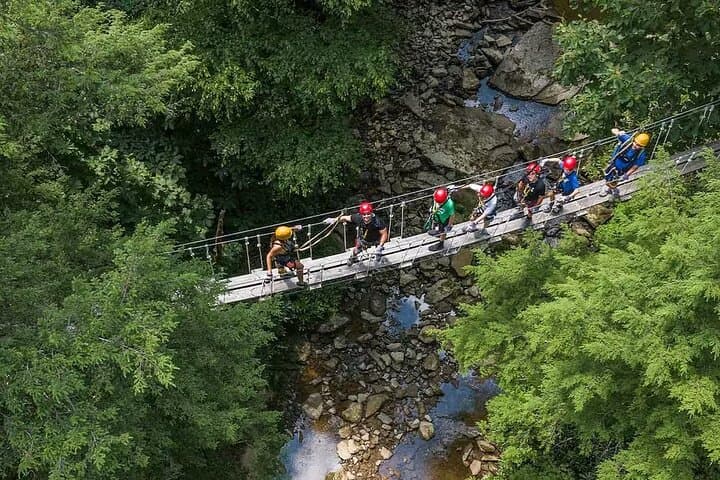 Tree Tops Zip Line Canopy Tour — New River Gorge Hemlock Forest Zip & Rappel photo 4