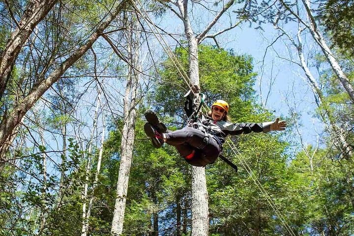 Tree Tops Zip Line Canopy Tour — New River Gorge Hemlock Forest Zip & Rappel photo 6