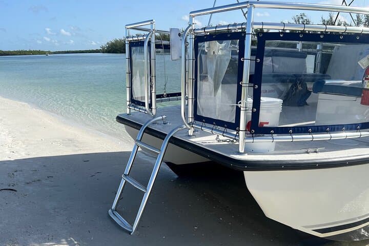 Keewaydin Island 5-Hour Beach Tour from Naples — Shelling, Swimming & Wildlife Cruise photo 4