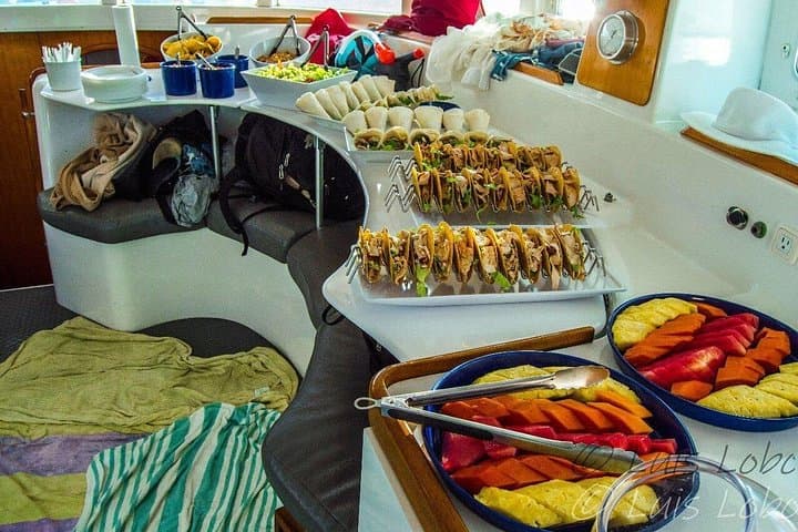 Costa Rica Catamaran Snorkel & Wildlife Cruise from Playa Conchal photo 6