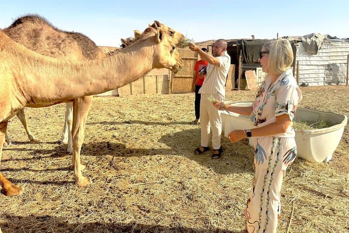 Edge of the World 4x4: Bat Cave, Camels & Sunset Hike from Riyadh photo 3