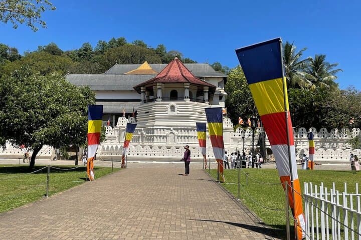 Kandy Full-Day Tour from Colombo and Negombo: Temple, Tea & Botanical Gardens