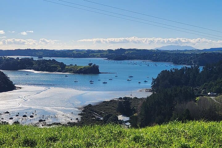 Custom Luxury Day Trips from Auckland: Kaipara to Mahurangi Private Tours