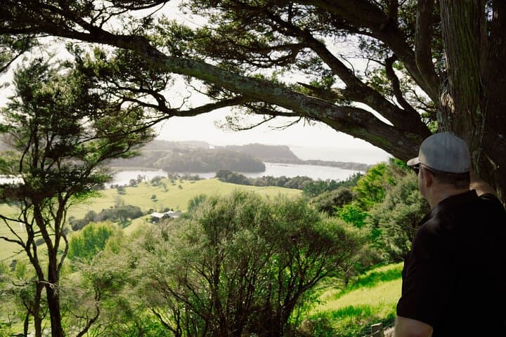 Custom Luxury Day Trips from Auckland: Kaipara to Mahurangi Private Tours photo 5