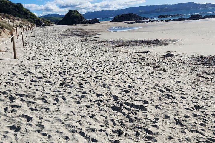 Custom Luxury Day Trips from Auckland: Kaipara to Mahurangi Private Tours photo 6