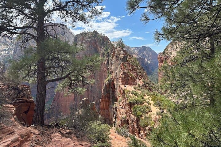 Scout Lookout Guided Hike in Zion Canyon: 4-Mile Small-Group Adventure photo 1