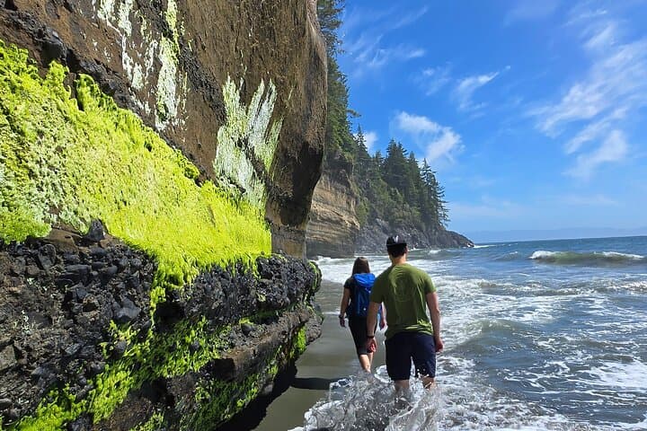 West Coast Rainforest, Waterfalls & Beaches: Port Renfrew Wildlife Day Tour