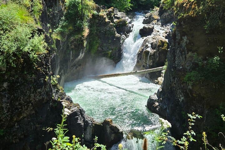 Vancouver Island Waterfalls, Old‑Growth & Wild Caves — Cathedral Grove to Horne Lake