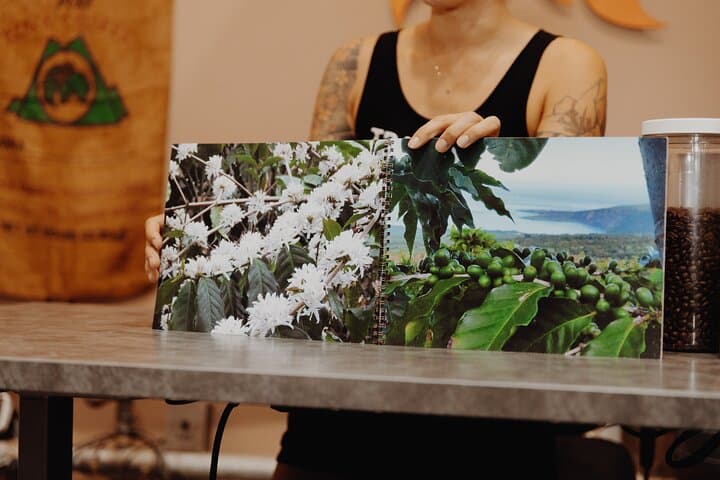 Hawai'i Coffee Experience on Oahu — Hands-On Tasting & Farm-to-Cup Workshop photo 5