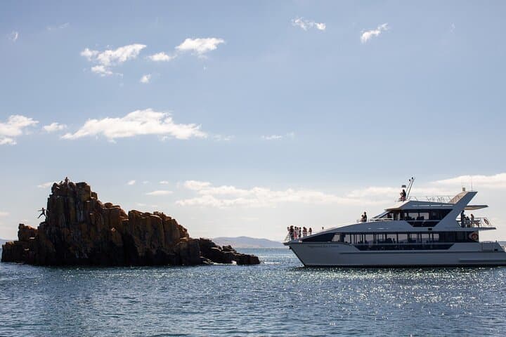 Peppermint Bay Cruise and Woodbridge Degustation from Hobart