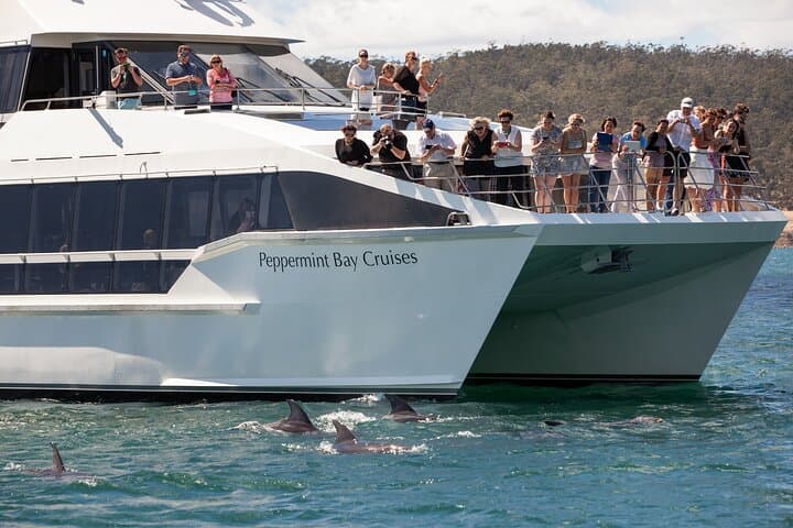 Peppermint Bay Cruise and Woodbridge Degustation from Hobart photo 5
