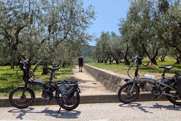 Full-Day Shodoshima E-Bike Loop: Coastal Sweets, Rice Terraces & Angel Road photo 3