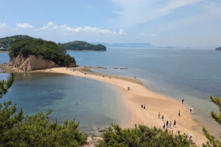 Full-Day Shodoshima E-Bike Loop: Coastal Sweets, Rice Terraces & Angel Road photo 5
