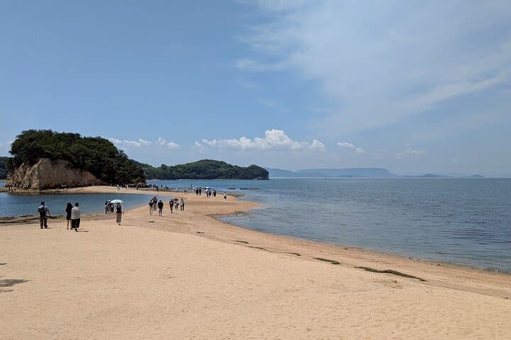 Full-Day Shodoshima E-Bike Loop: Coastal Sweets, Rice Terraces & Angel Road photo 6