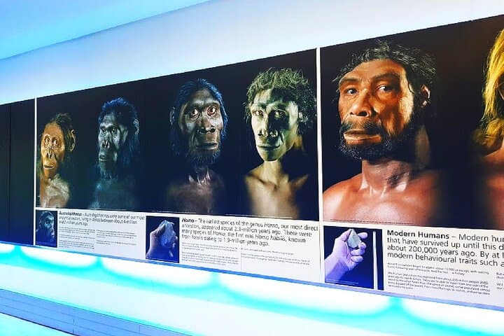 Sterkfontein Caves & Soweto Day Tour — Cradle of Humankind Highlights photo 4