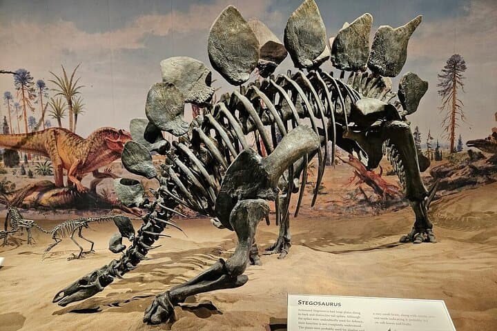 Drumheller Day Trip from Calgary: Private Badlands Tour & Royal Tyrrell Museum photo 3