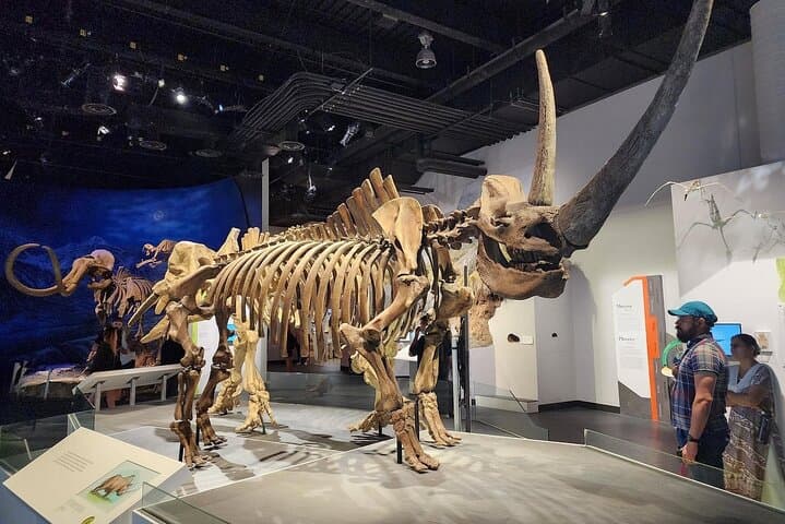 Drumheller Day Trip from Calgary: Private Badlands Tour & Royal Tyrrell Museum photo 4
