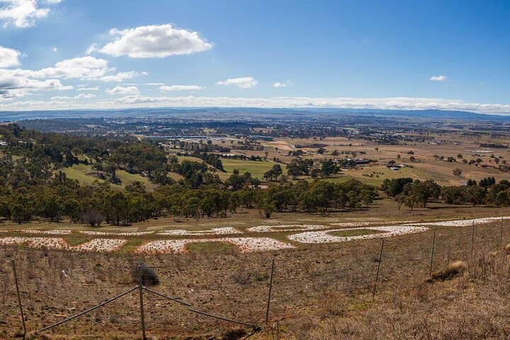 Private Mount Panorama & Blue Mountains Day Tour from Sydney photo 3