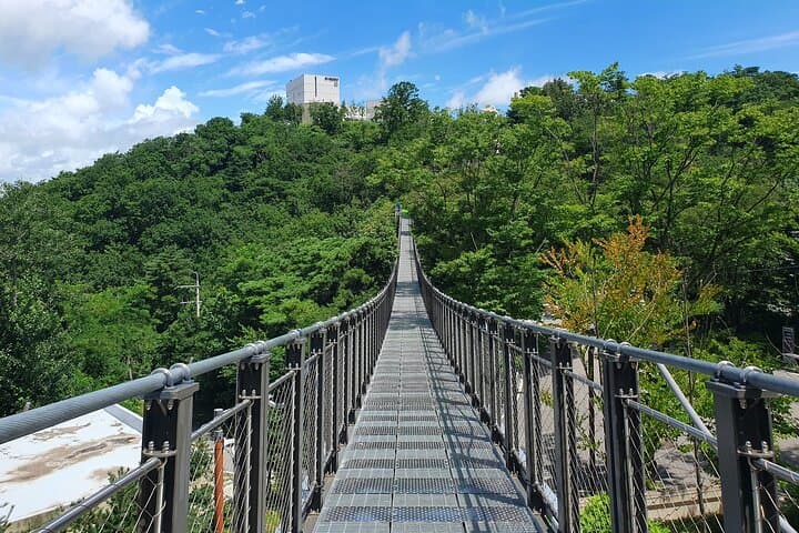 Aegibong Peace Ecopark & Jogang Observatory DMZ Tour from Seoul photo 3