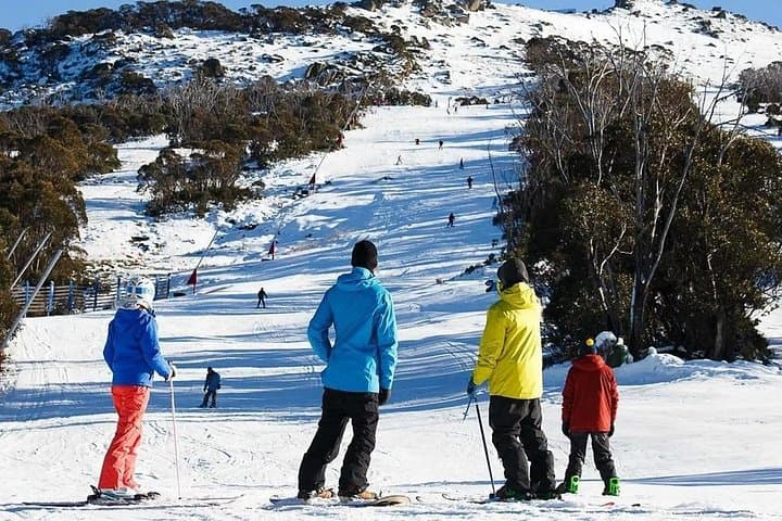 Day Trip to the Snowy Mountains from Sydney: Skiing, Tobogganing & Alpine Views photo 3