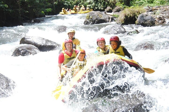 Bali White Water Rafting and Ubud Monkey Forest Day Tour photo 3