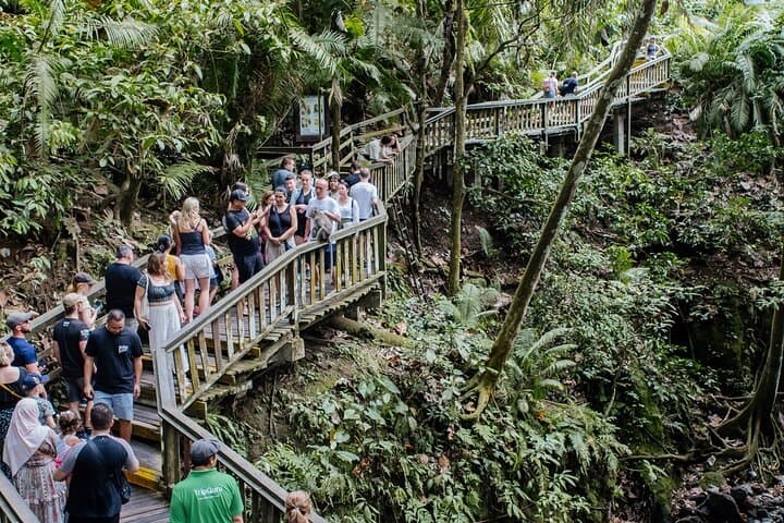 Bali White Water Rafting and Ubud Monkey Forest Day Tour photo 6