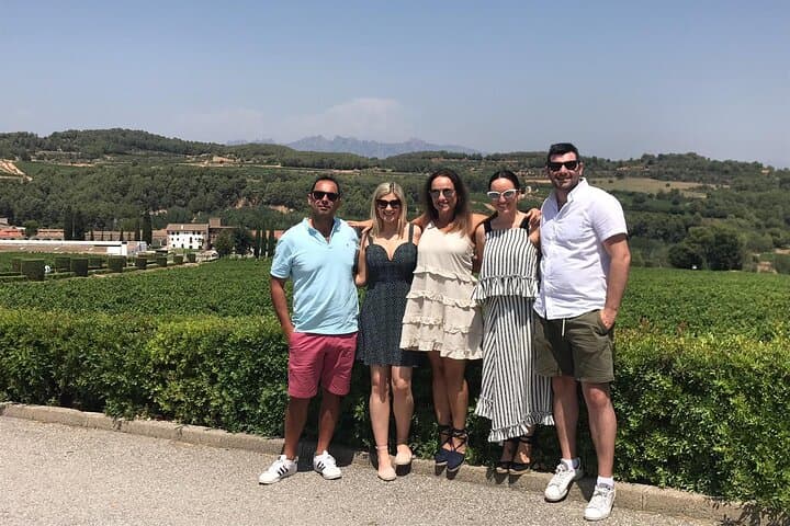 Private Pompeii & Vesuvius Vineyard Day Trip from Naples