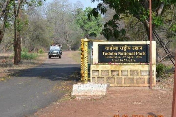 Multi-Park Tiger Safari: Tadoba, Pench, Kanha & Bandhavgarh — 8–9 Day Wildlife Circuit photo 2