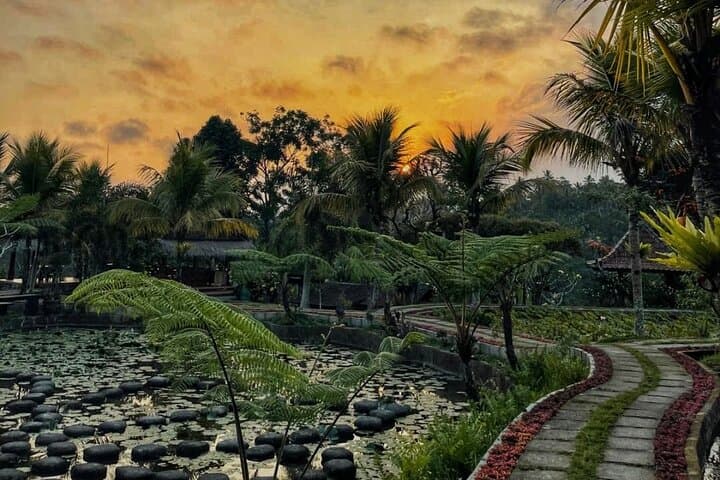 Bali Monkey Forest and Taro Firefly Night Tour — Macaques by Day, Fireflies by Night photo 3
