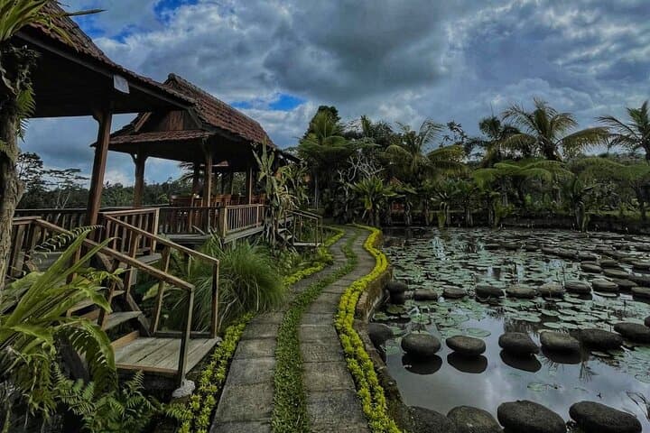 Bali Monkey Forest and Taro Firefly Night Tour — Macaques by Day, Fireflies by Night photo 6