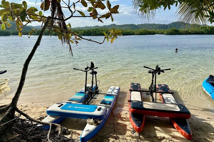 Siargao Sunset Paddleboarding & Firefly Tour: Evening Mangrove Escape