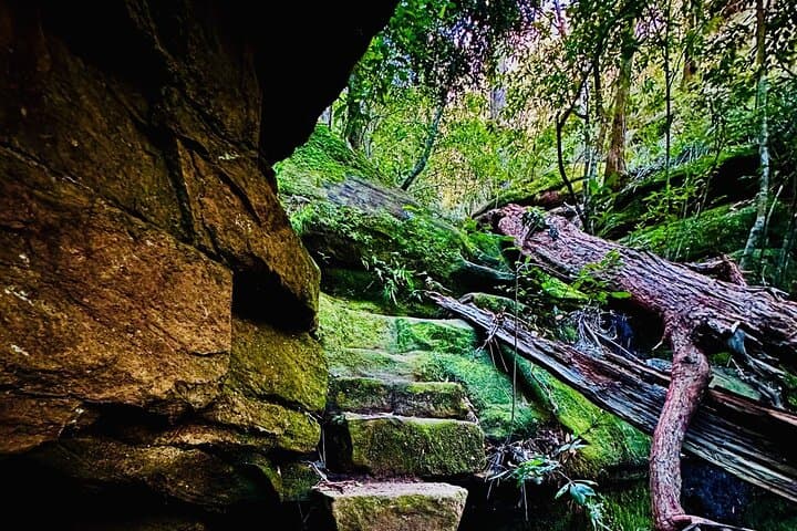 Trek, Shoot and Soothe: Blue Mountains Guided Hiking & Photography Tour from Springwood photo 4