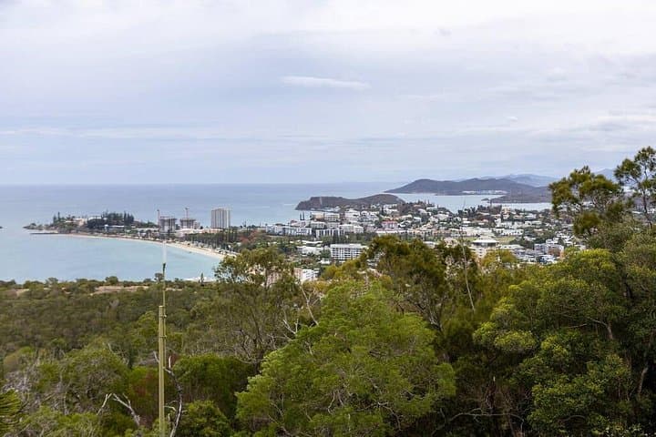 Half-Day Wildlife and Rainforest Tour from Nouméa Cruise Terminal