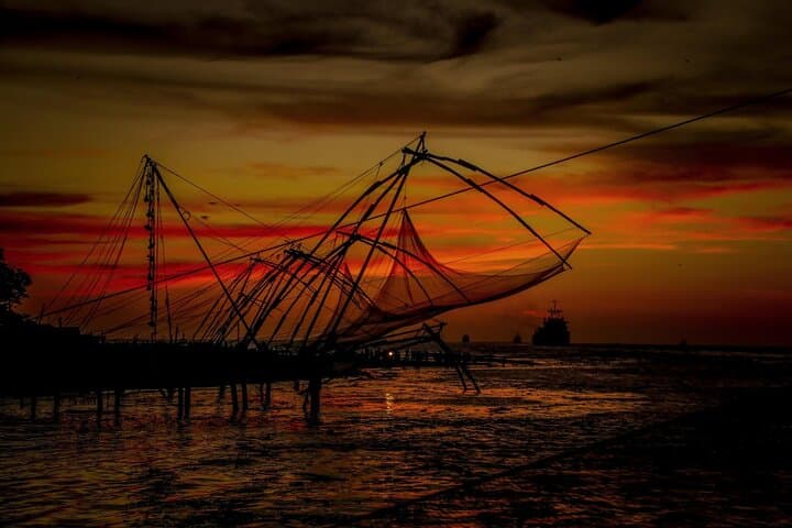 Kerala Backwaters to Andaman Islands: 14‑Night Cochin, Munnar & Andaman Adventure photo 5