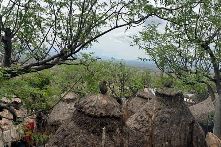 3-Day Arba Minch & Konso Tour — Lake Chamo Boat Safari, Nechisar Hikes & Konso Terraces