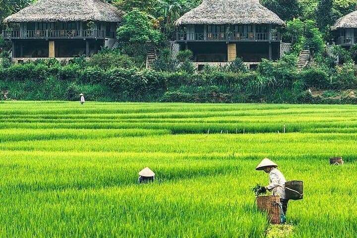 Mai Chau Day Trip from Hanoi — Bikes, Rice Paddies & Thai Stilt Houses