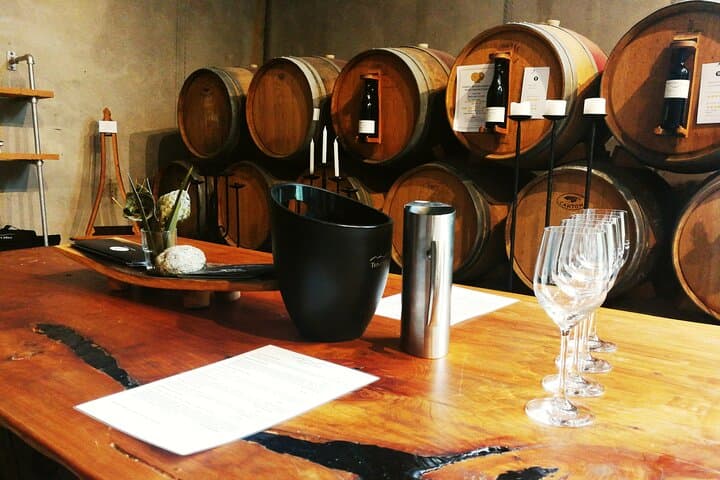 Napier Art Deco Shore Excursion & Hawke's Bay Wine Tasting (Half-Day Cruise Tour) photo 2