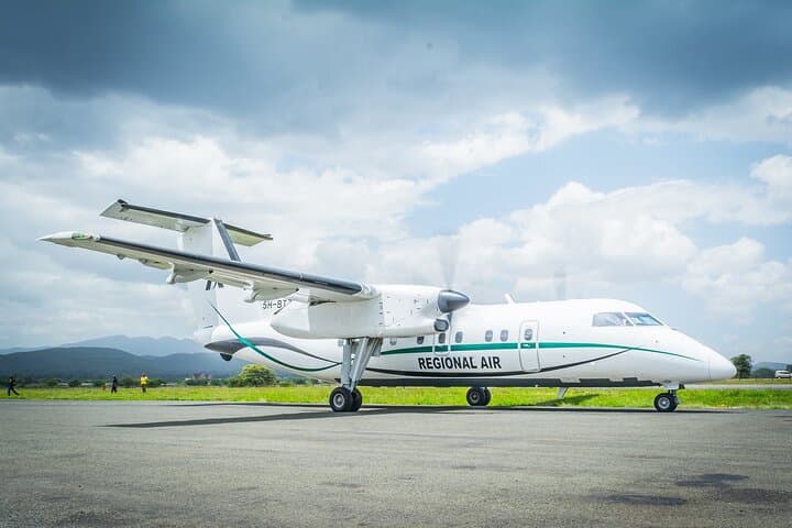 Fly-In Serengeti Safari: 4-Day Wildlife Adventure with Scenic Drive-Out