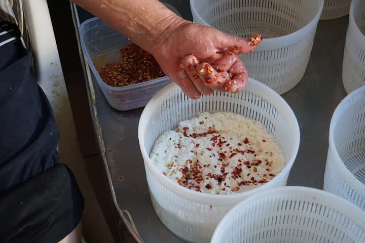 Rhodes Traditions: Olive Oil, Cheese & Nature’s Secrets — Malona Village Culinary Walk photo 3