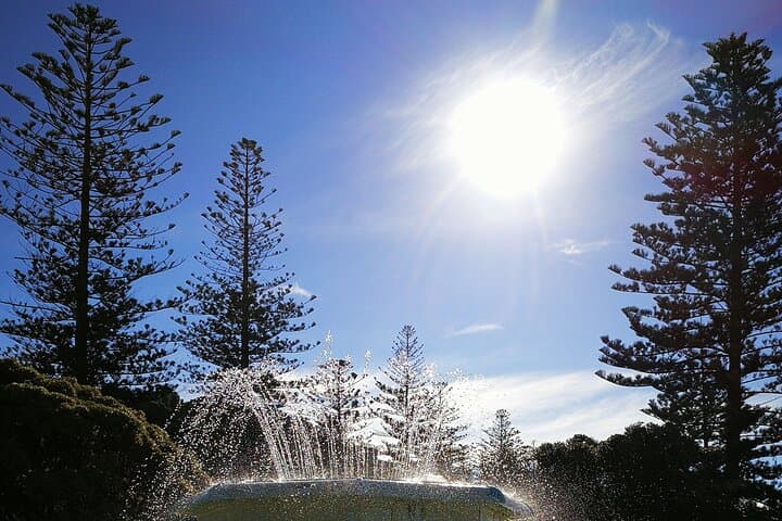 Napier Art Deco Shore Excursion & Hawke's Bay Wine Tasting (Half-Day Cruise Tour) photo 3