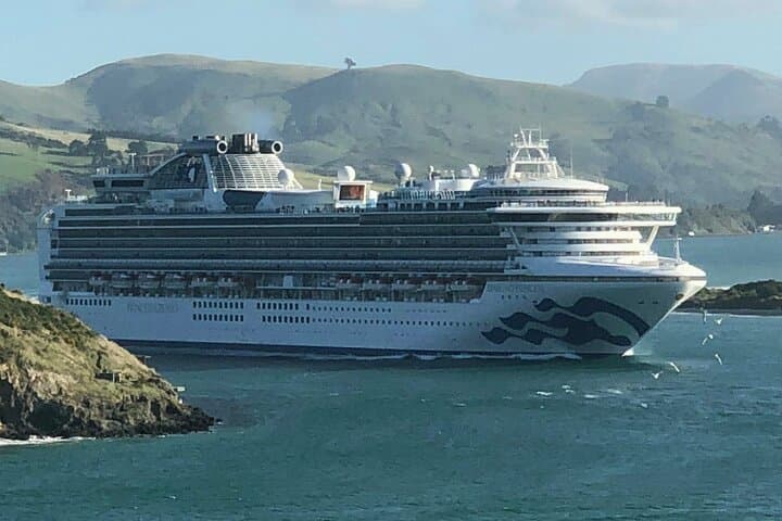 Napier Art Deco Shore Excursion & Hawke's Bay Wine Tasting (Half-Day Cruise Tour) photo 4