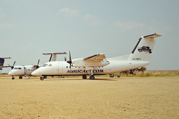 Fly-In Serengeti Safari: 4-Day Wildlife Adventure with Scenic Drive-Out photo 3