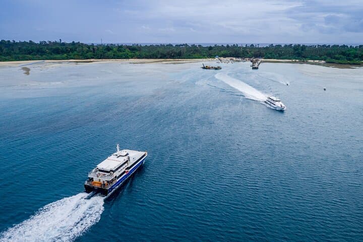 Kerala Backwaters to Andaman Islands: 14‑Night Cochin, Munnar & Andaman Adventure