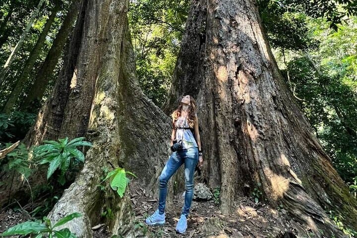 Cuc Phuong Jungle Trek from Ninh Binh: Day Hike, Wildlife & Primate Rescue photo 3