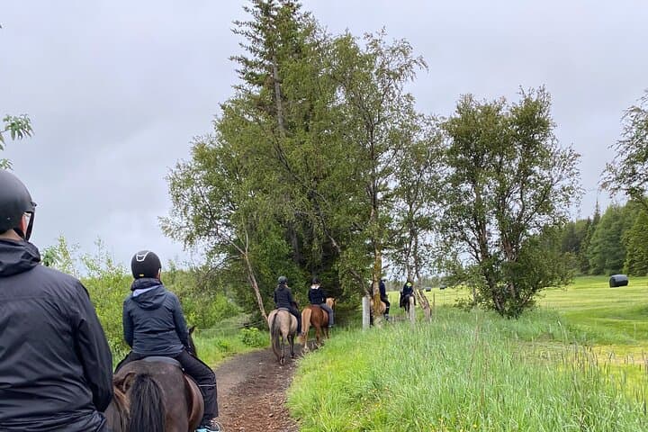 Coastal Horseback Riding at Gásir: Icelandic Horse Tours from Akureyri photo 3