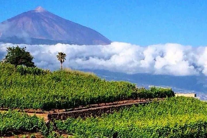 Teide National Park and Tenerife Winery Tour: Volcano to Vineyard in One Day photo 1