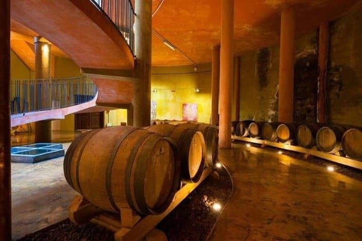 Teide National Park and Tenerife Winery Tour: Volcano to Vineyard in One Day photo 3